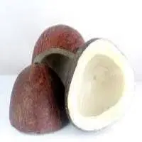 BLACK COPRA