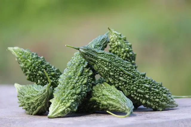 KARELA (BITTER GOURD) 1KG