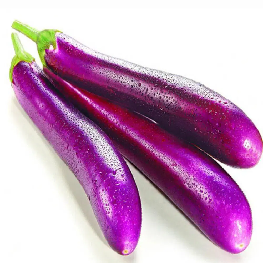 Brinjal Long Purple 1 KG
