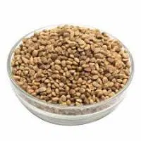 CHIRANJI SEEDS