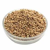 CHIRANJI SEEDS