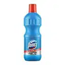 DOMEX FLOOR CLEANER – image 1