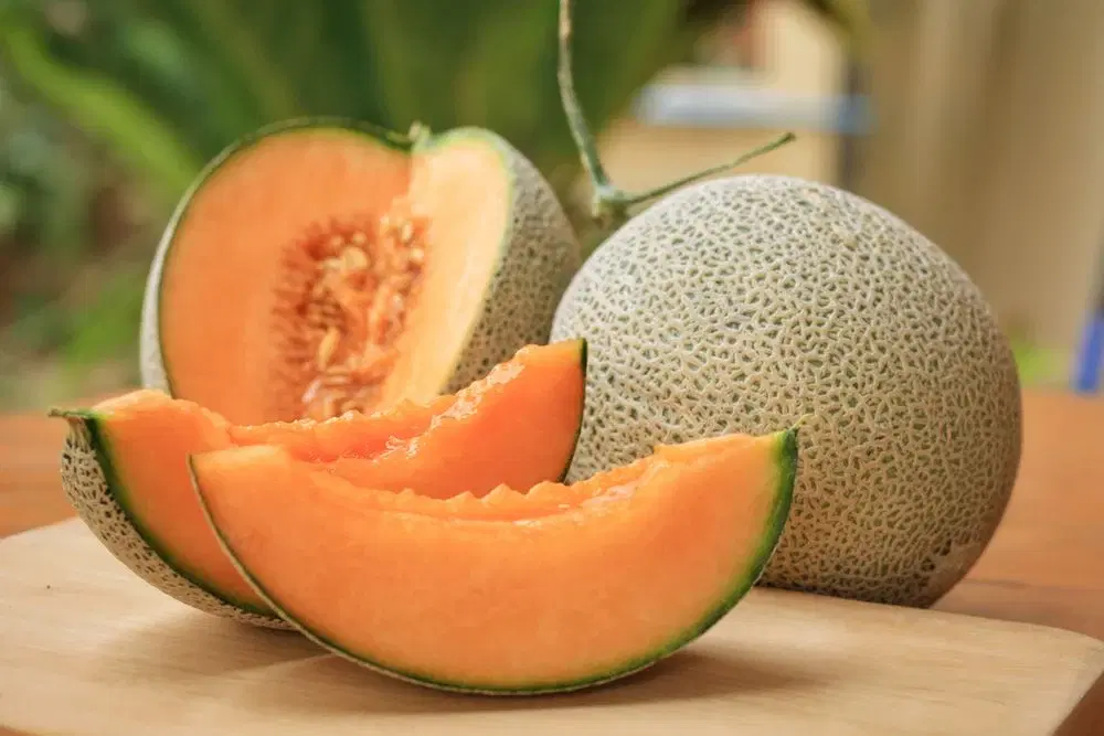 Muskmelon 500 Gm