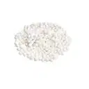 SABUDANA – image 1