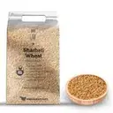 SHARBATI WHEAT – image 1