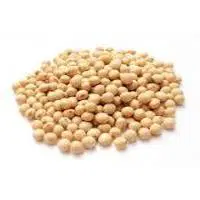 SOYA BEANS