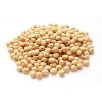 SOYA BEANS