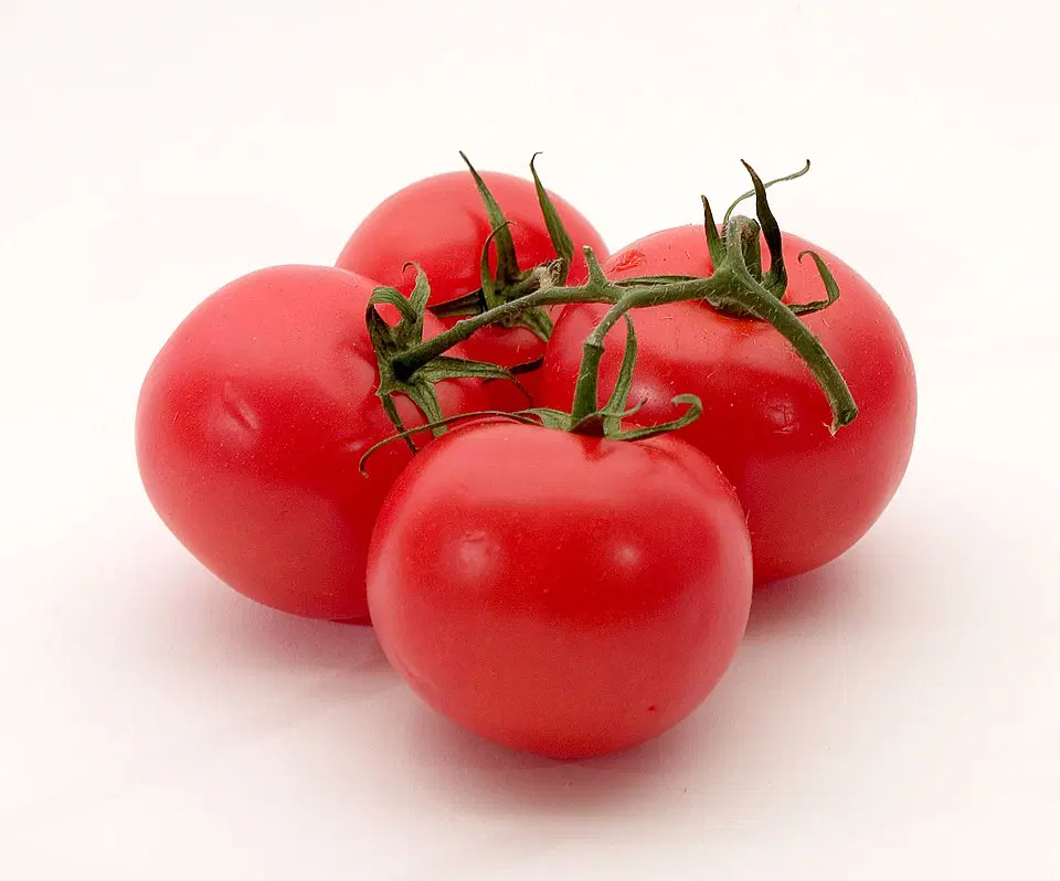 Tomatoes 