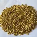 YELLOW JOWAR (JONNALU) – image 1