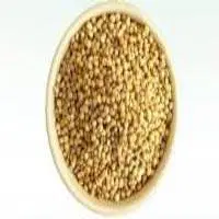 YELLOW JOWAR (JONNALU)