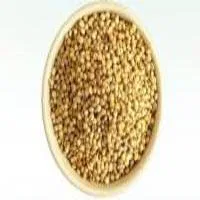 YELLOW JOWAR (JONNALU)