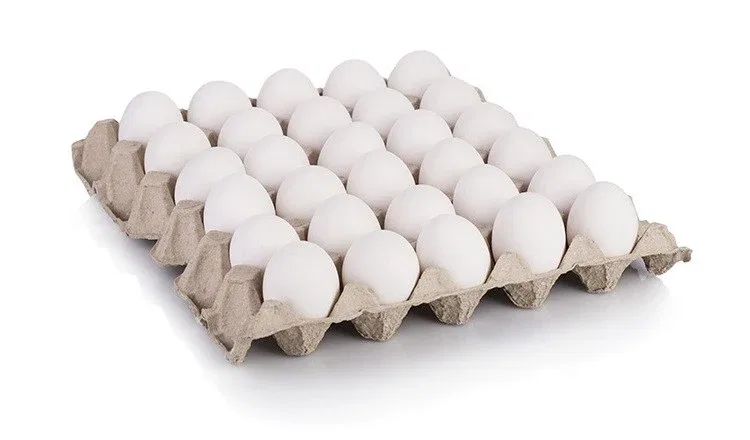 White Eggs 