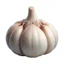 Garlic 500 gm   – image 1