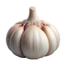 Garlic 500 gm  