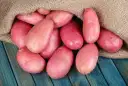 Red Potatoes 1KG  – image 1