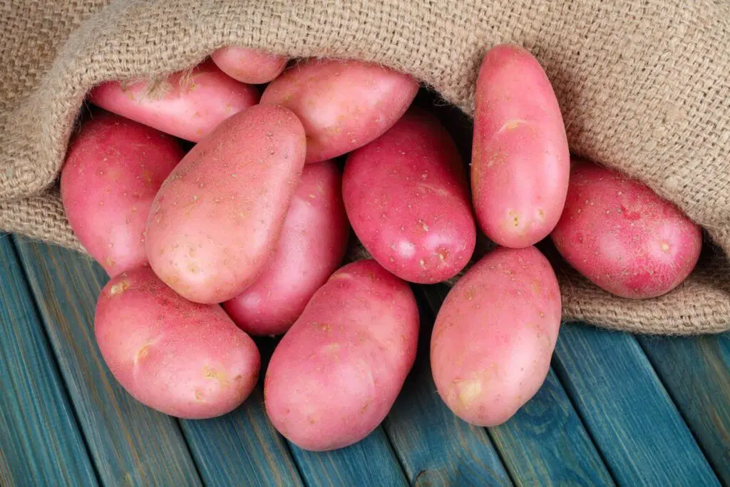 Red Potatoes 1KG 