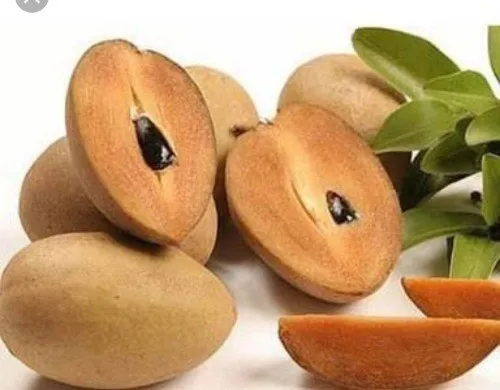 Fresh Chiku (Sapota)  1KG