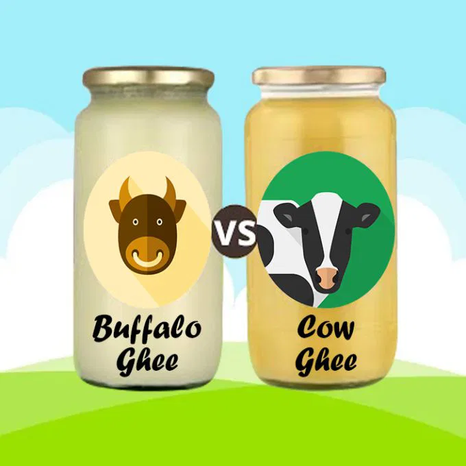 Cow & Buffalo Ghee