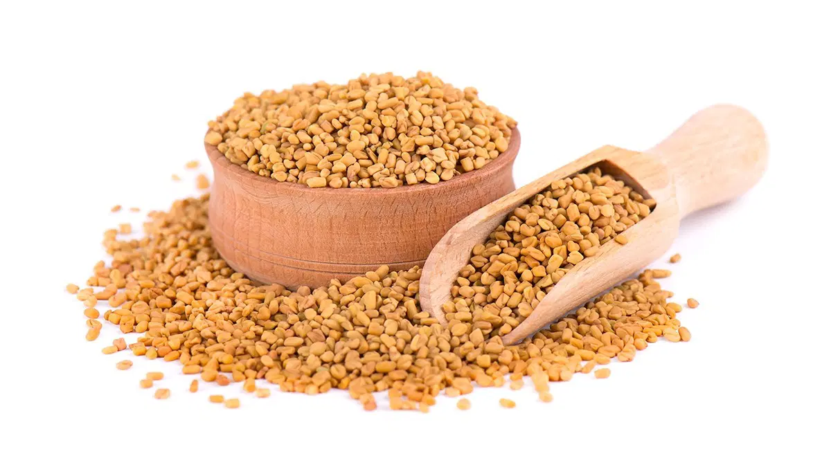 METHI DANA, Methi Seeds (Fenugreek) - Loose