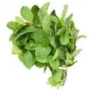 Mint Leaves (Pudina), 100g – image 1