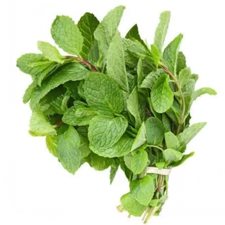 Mint Leaves (Pudina), 100g