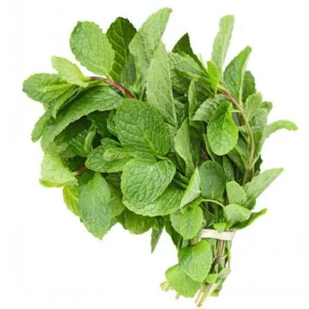 Mint Leaves (Pudina), 100g
