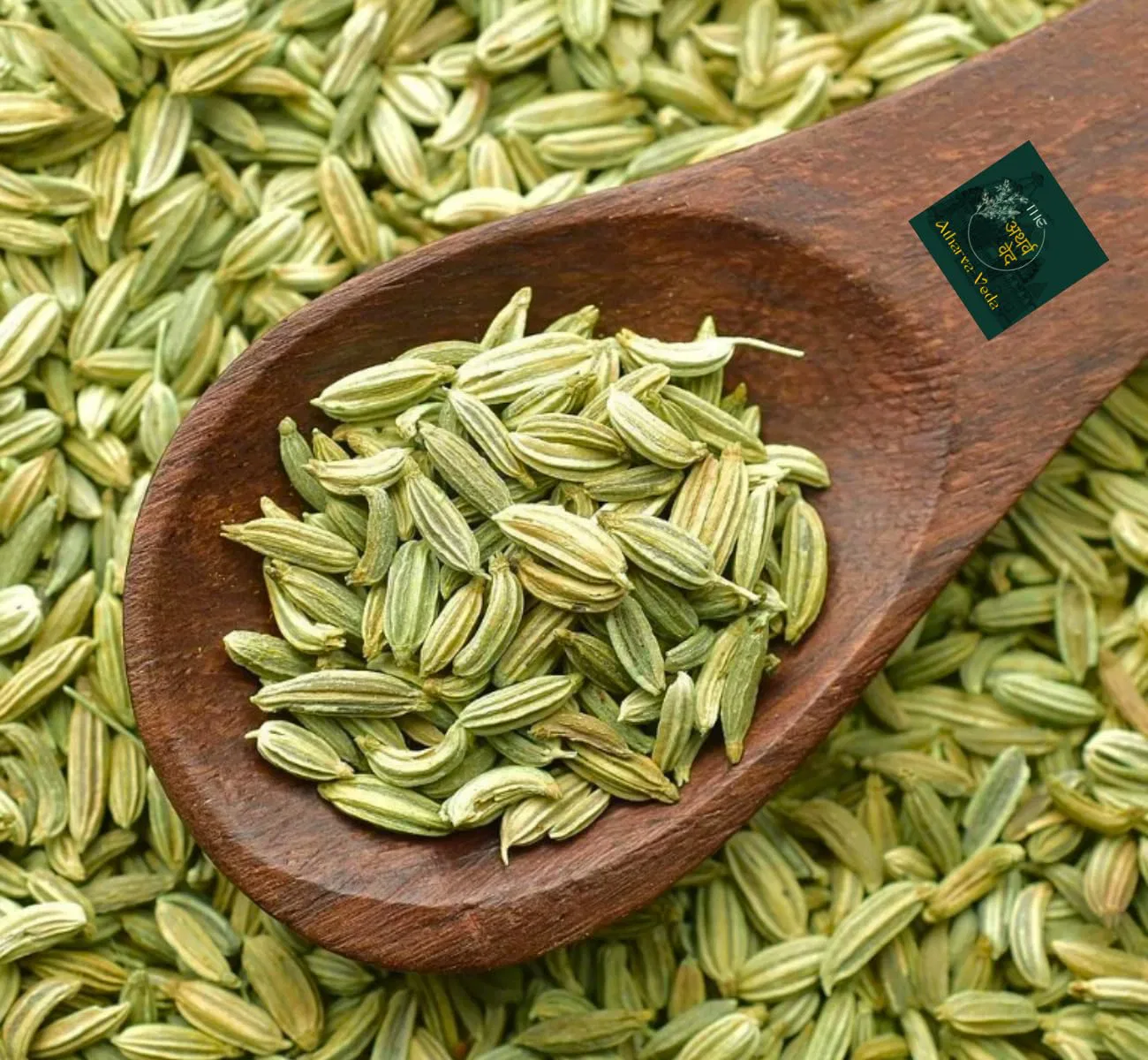 Fennel Seeds Saunf, Extra Premium Sabut Saunf Whole,  No Artificial Colours,  No Preservatives