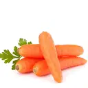Carrot /  (Gajar) – image 1