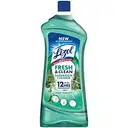 Lizol Pine Forest, Fresh & Clean Bathroom Cleaner, With 12 Hours Fragrance 500ml+200ml Free – image 1