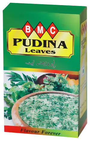 Pudina (Mint) Powder, 25g